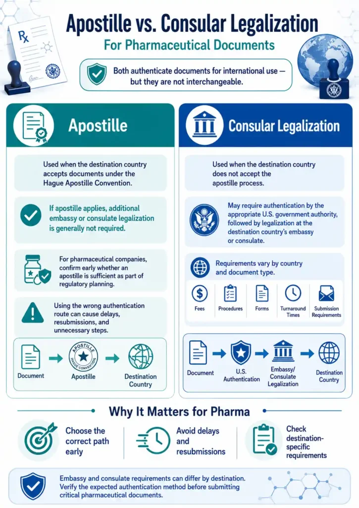 Infographic comparing apostille and consular legalization for pharmaceutical documents, including when each process applies, authentication steps, and international submission requirements.
